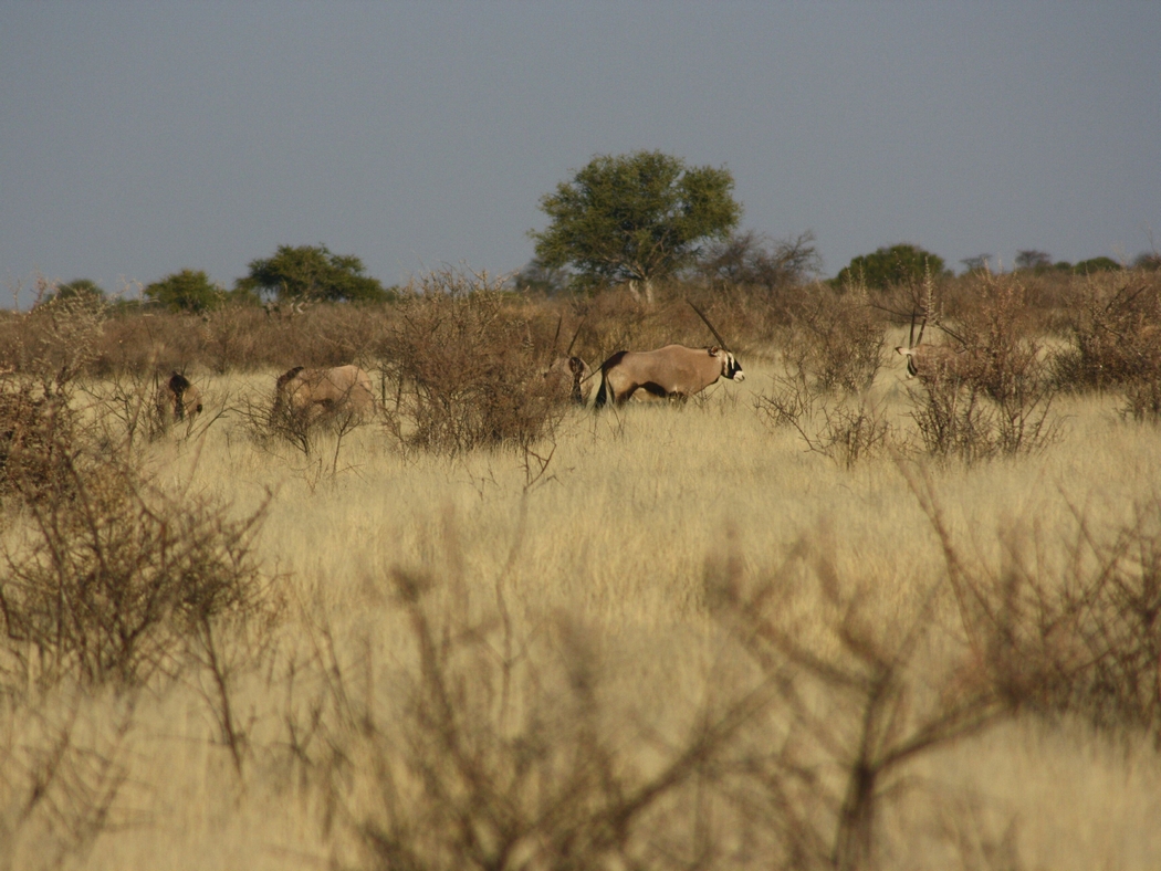 Namibia_015.jpg