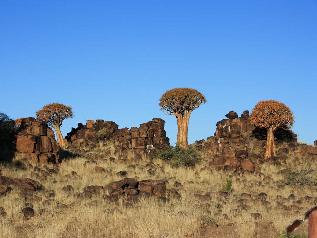 Namibia_033a.jpg