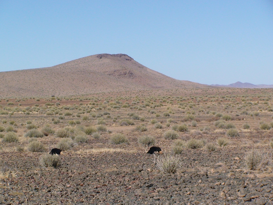 Namibia_046.JPG