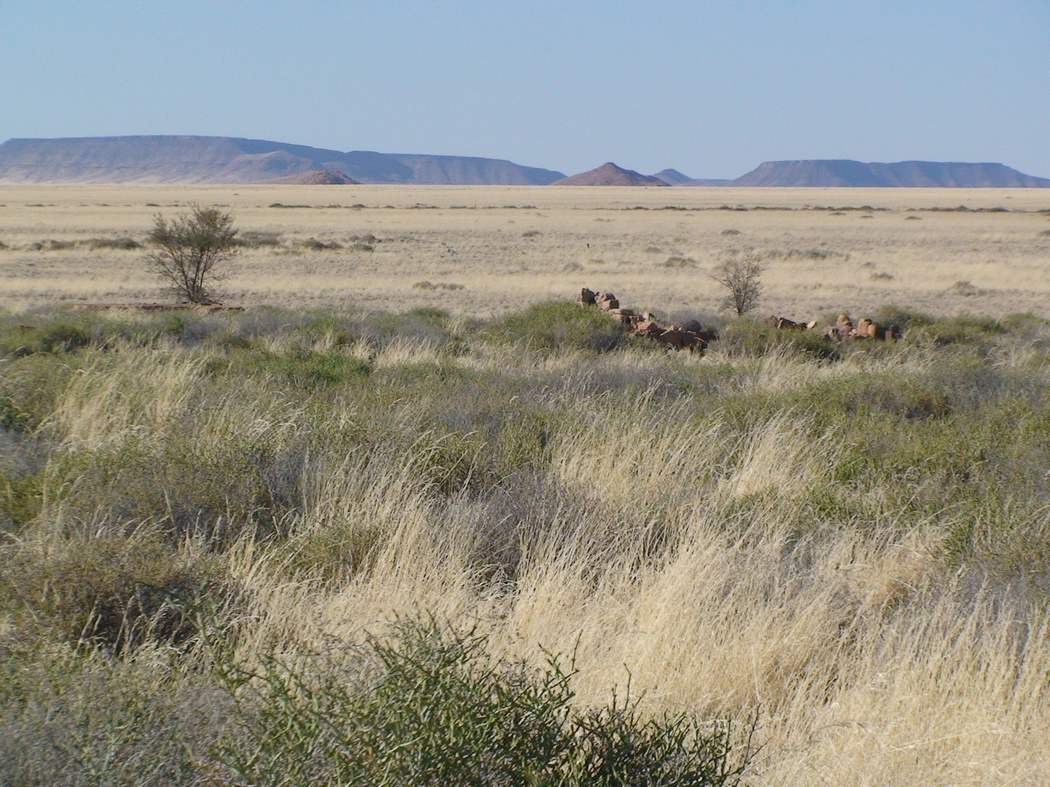 Namibia_064.JPG