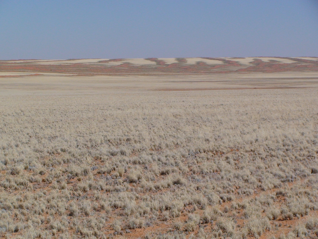 Namibia_113.JPG