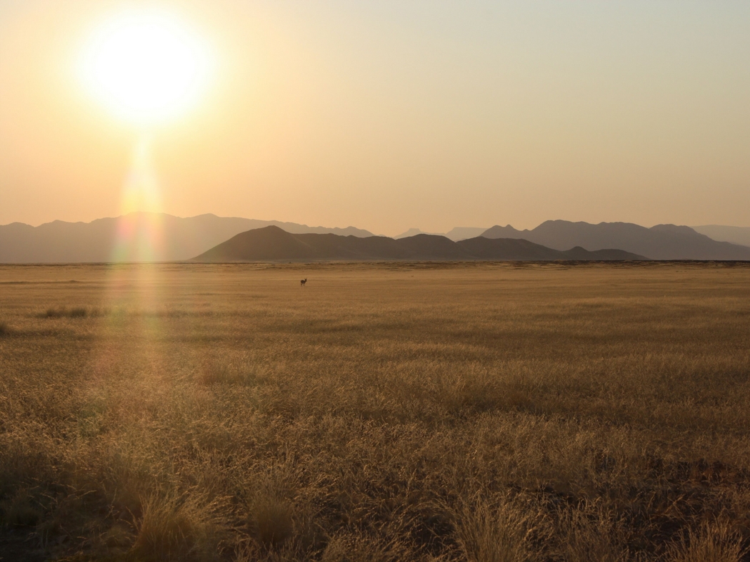 Namibia_134a.jpg