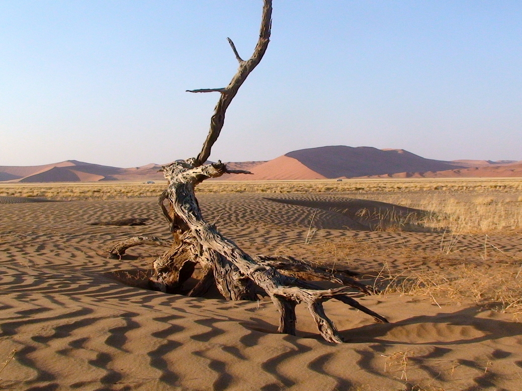 Namibia_136.jpg