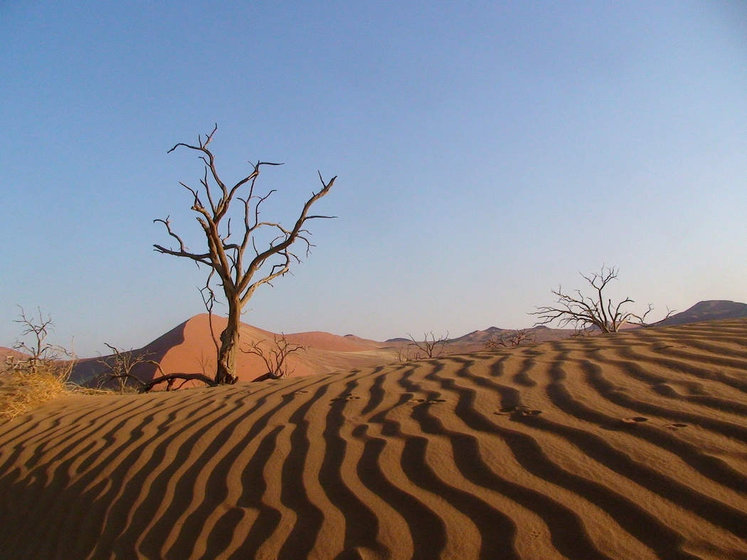 Namibia_141.JPG