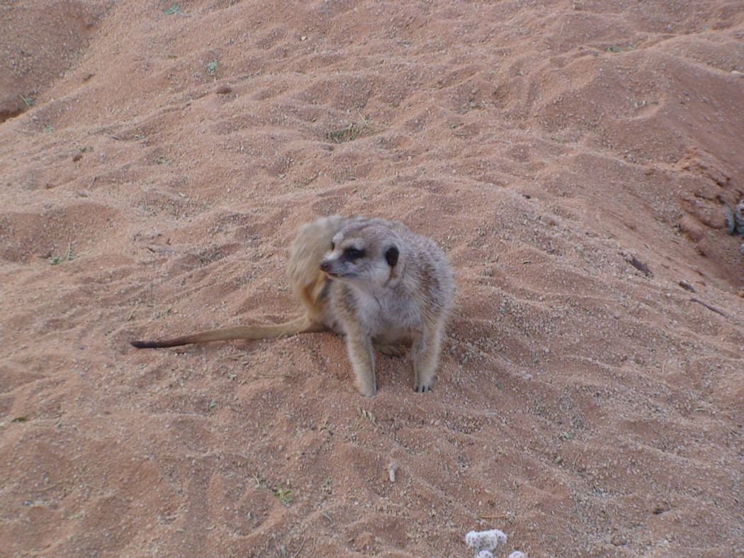 Namibia_173.JPG