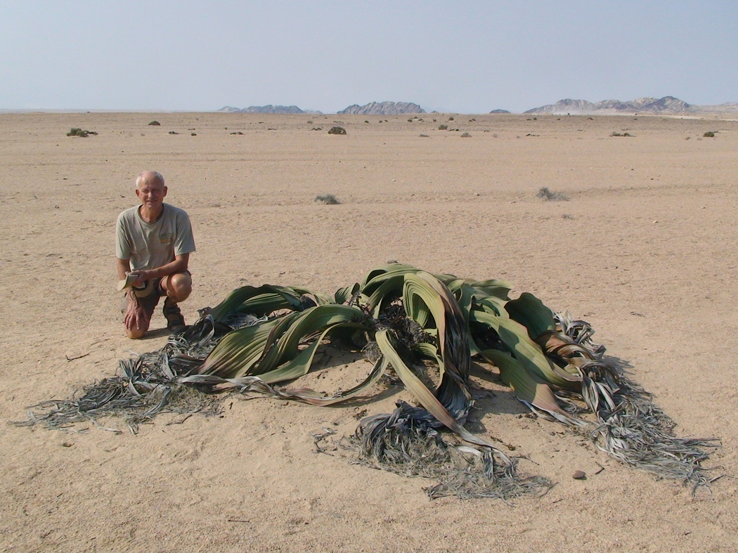 Namibia_188.JPG