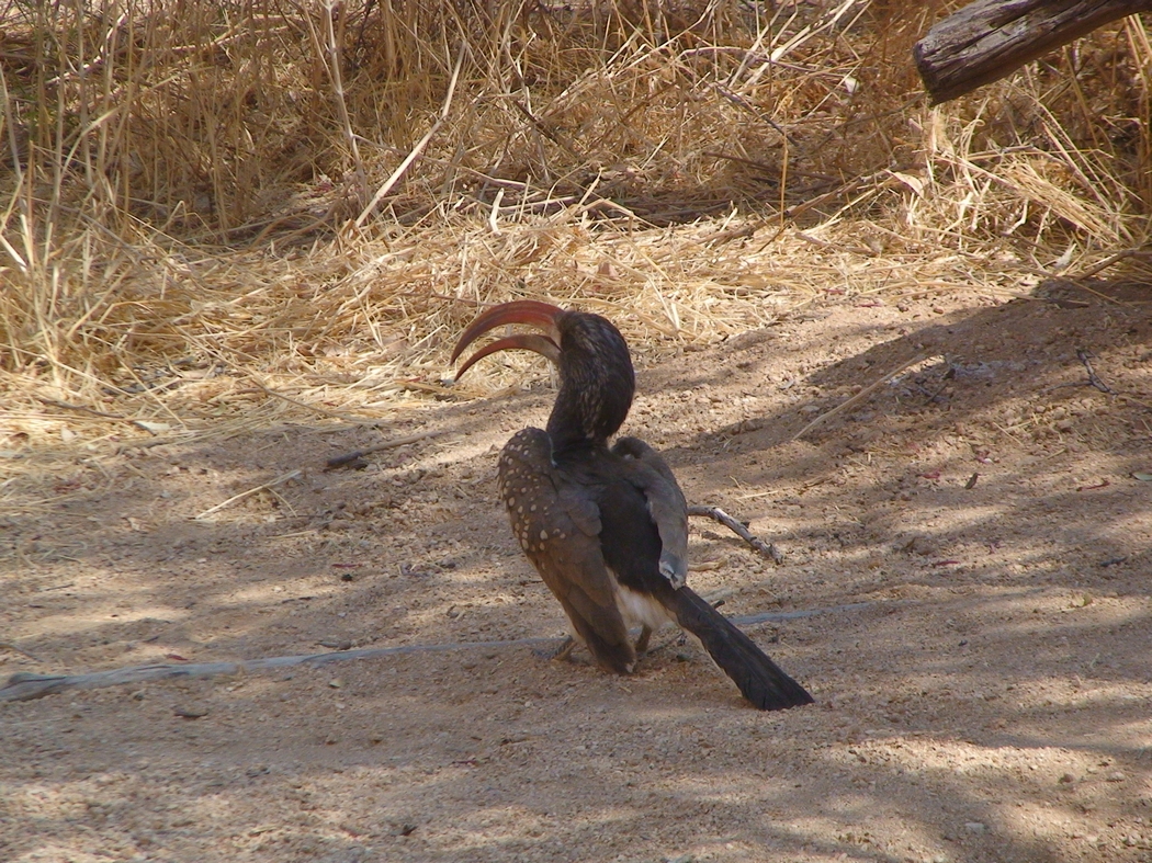 Namibia_248.JPG