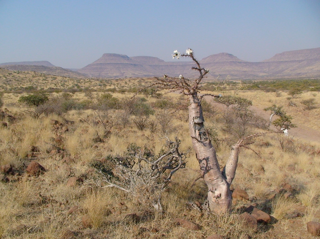 Namibia_293.JPG