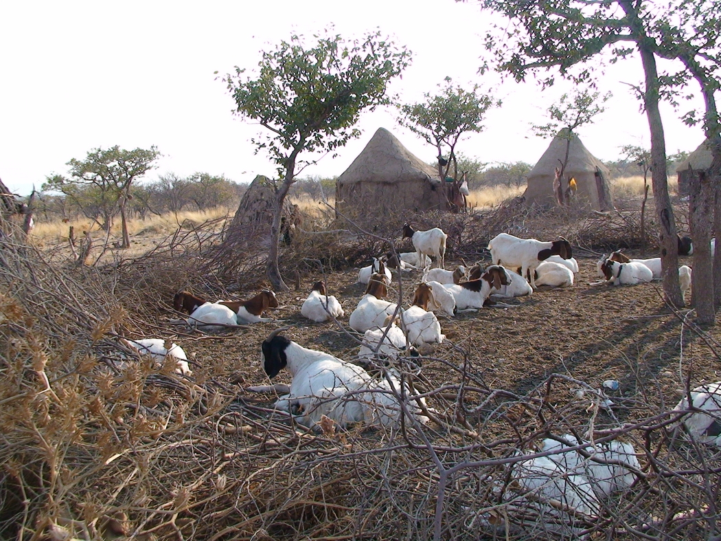 Namibia_297a.JPG