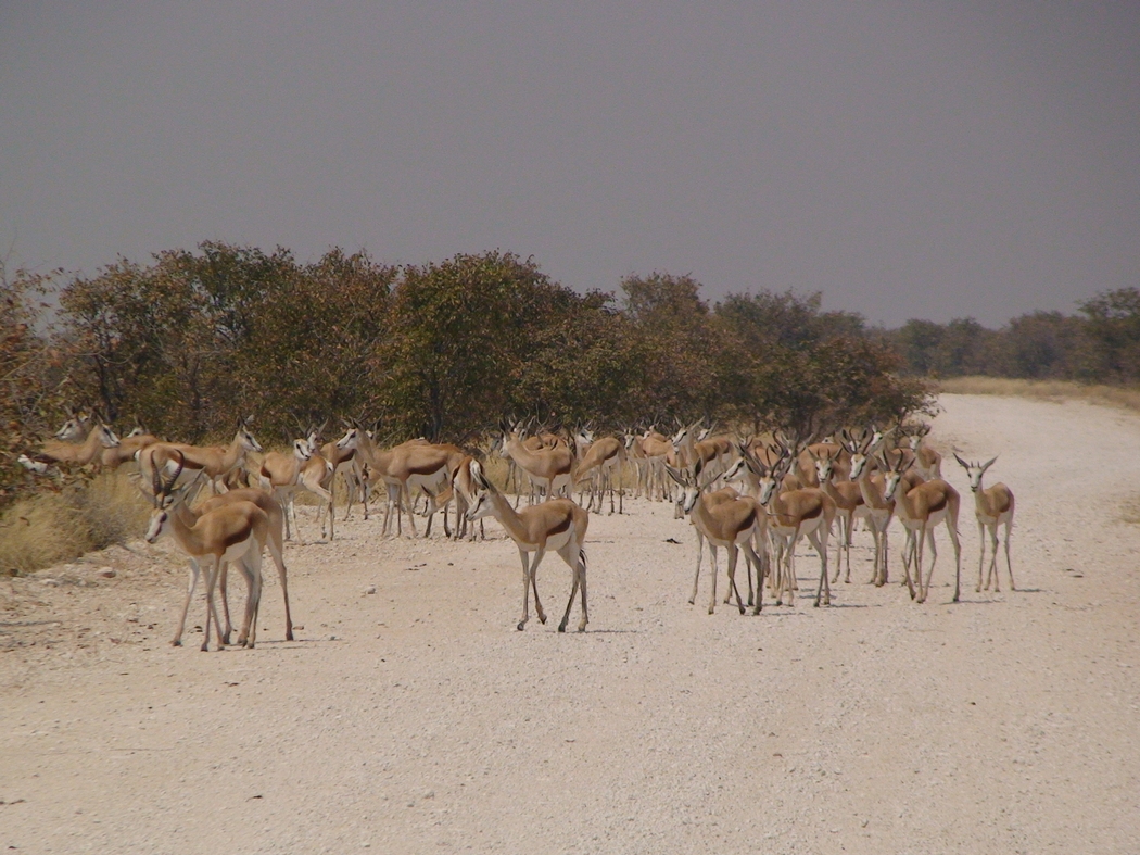 Namibia_315.JPG