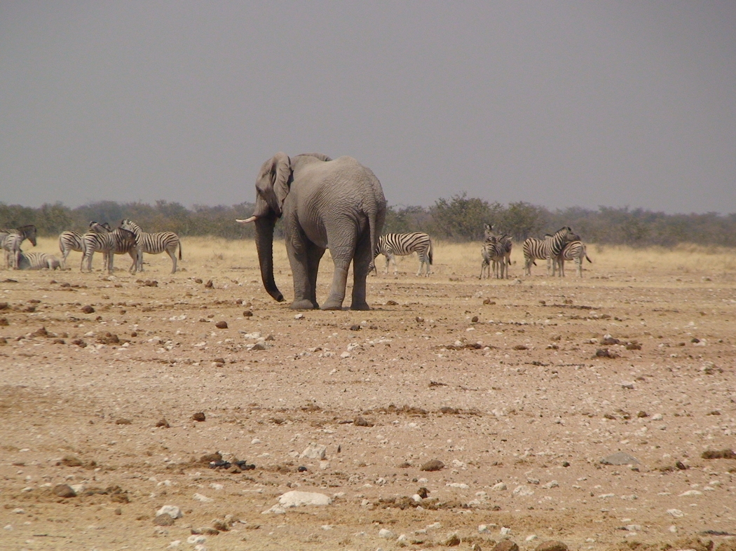 Namibia_320.JPG