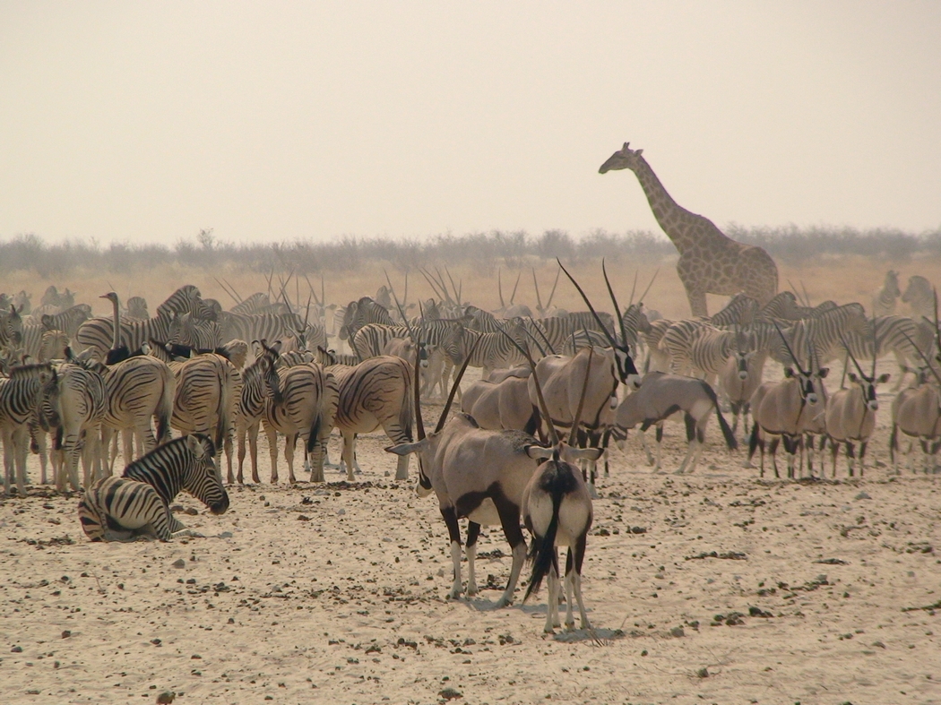 Namibia_325.JPG