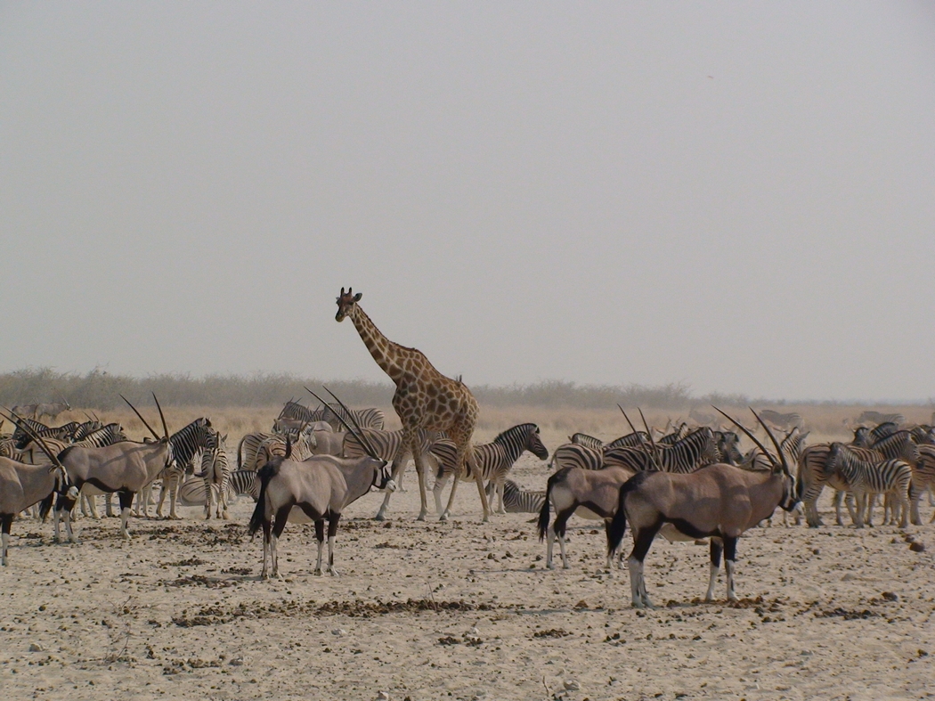 Namibia_328.JPG