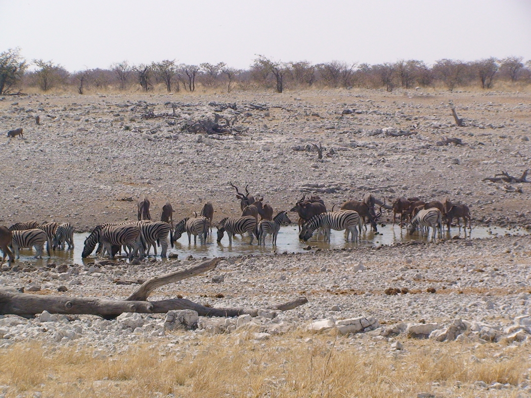 Namibia_329.JPG