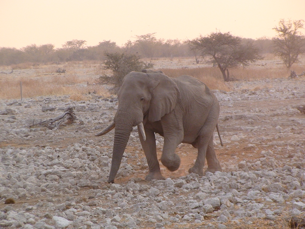 Namibia_334.JPG