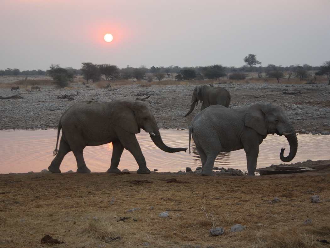 Namibia_340.jpg