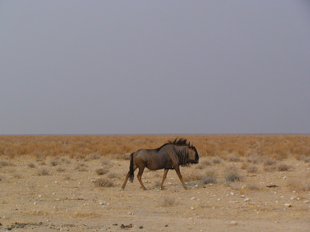 Namibia_360.JPG