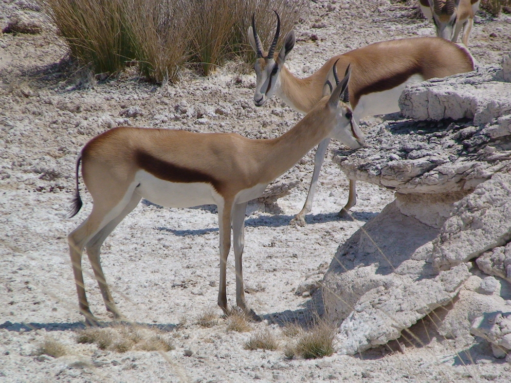 Namibia_360d.JPG