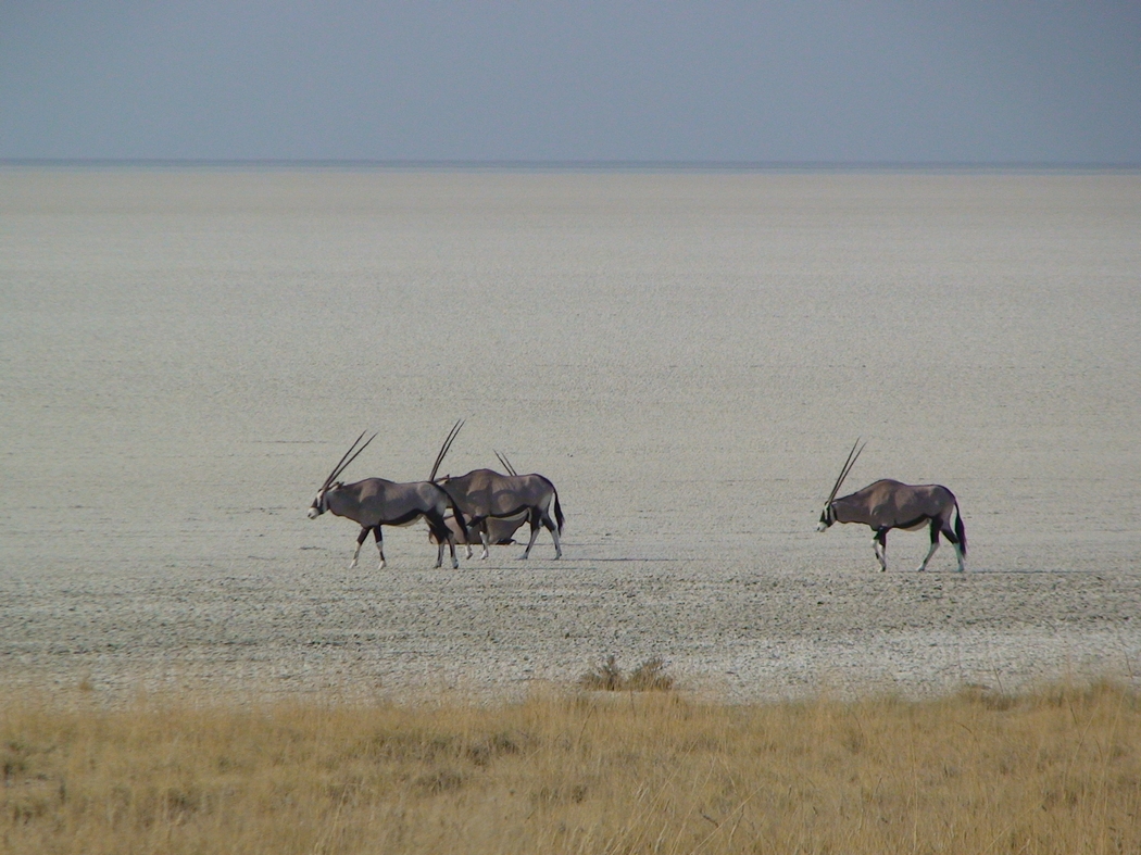 Namibia_361.JPG