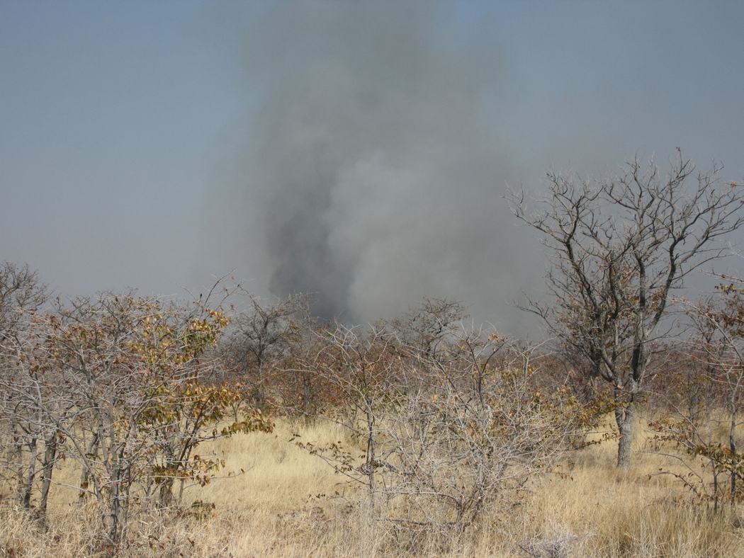 Namibia_365c.jpg