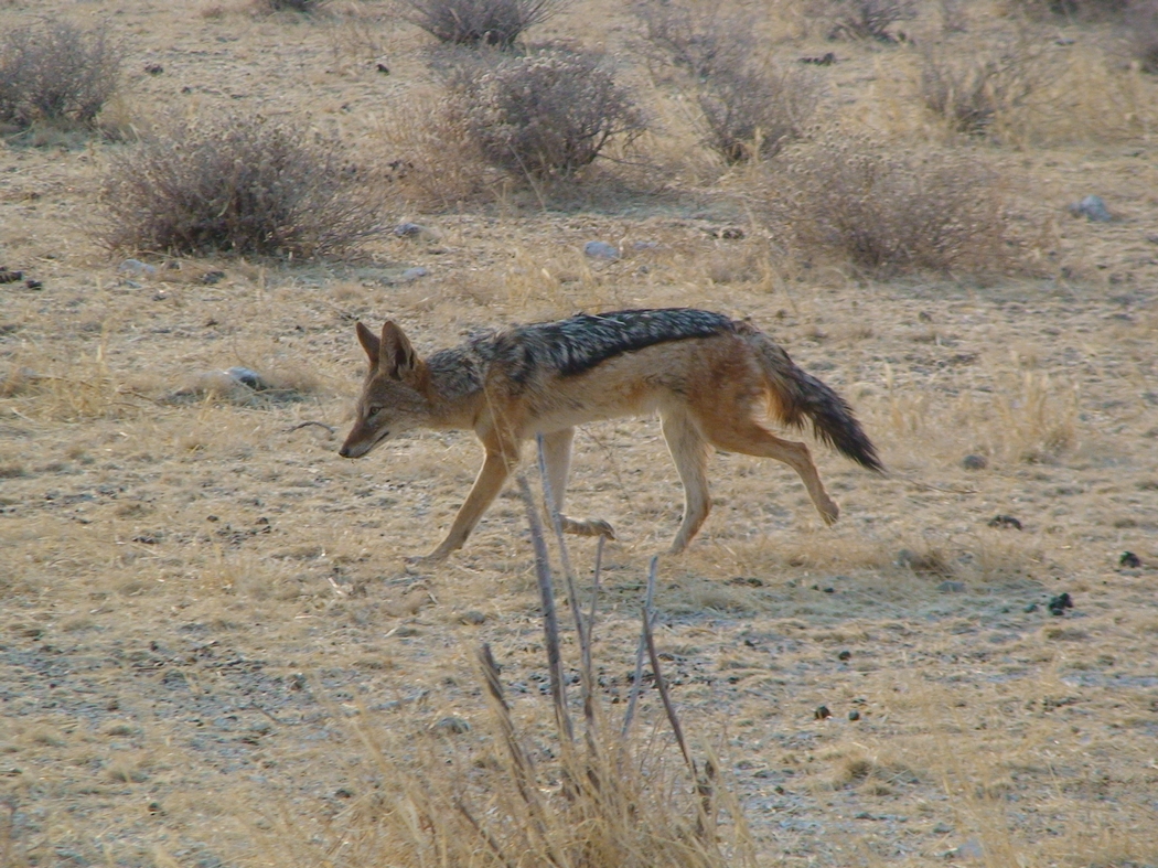 Namibia_365d.JPG