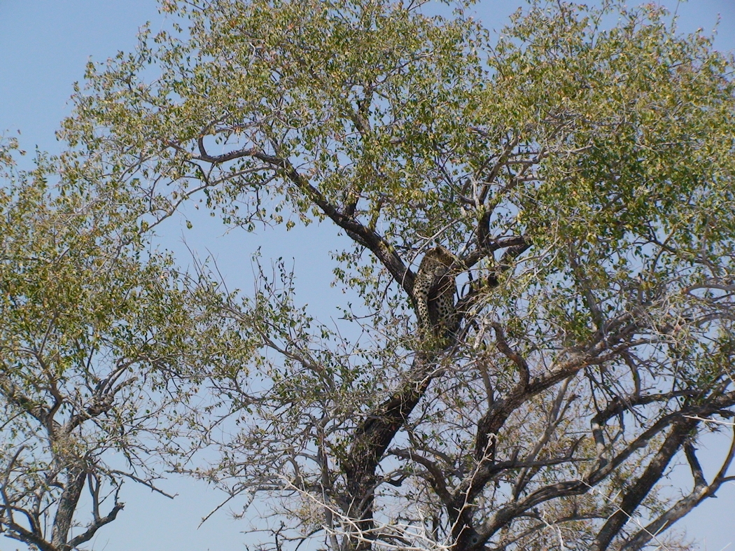 Namibia_376.JPG