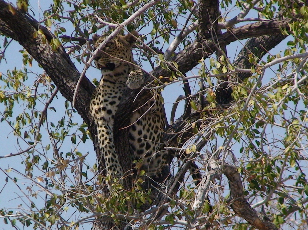 Namibia_379.JPG