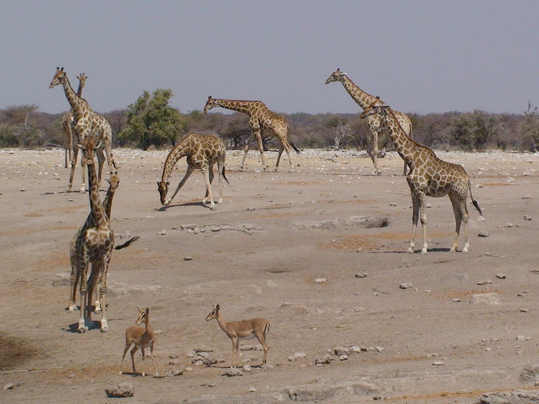 Namibia_381.JPG