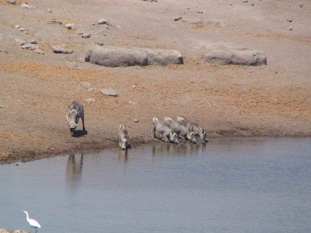 Namibia_385.JPG