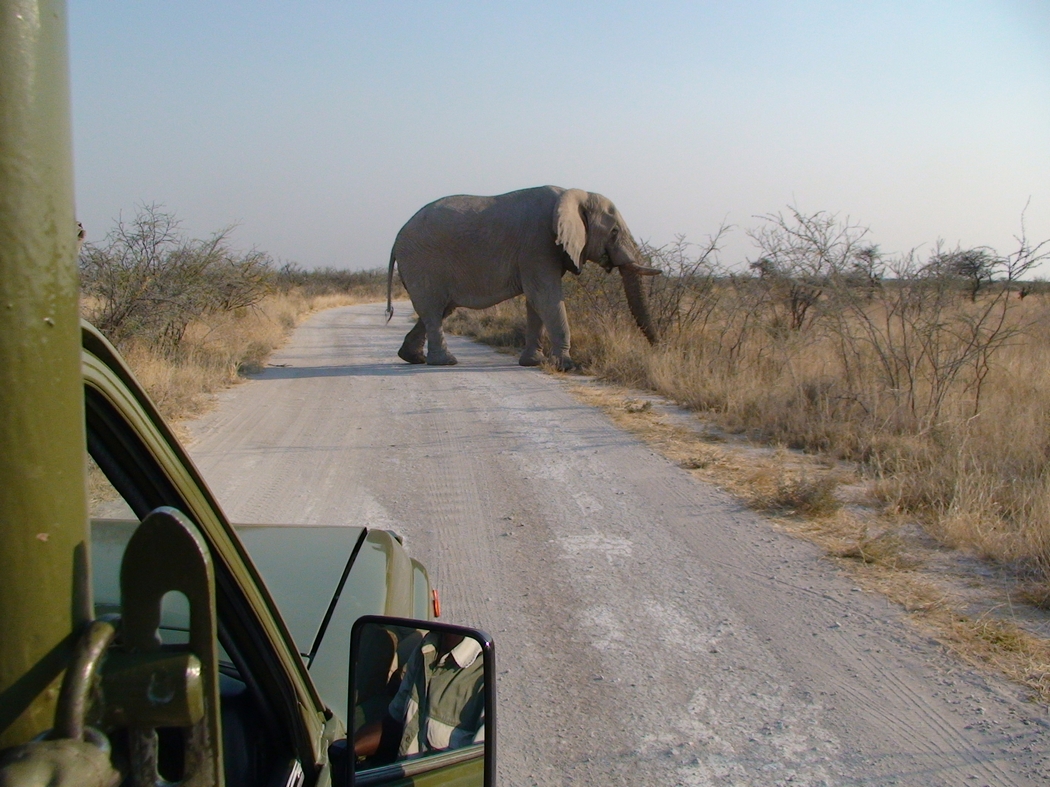 Namibia_396a.JPG