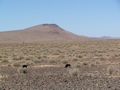 Namibia_046.JPG