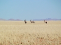 Namibia_069.JPG