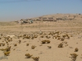 Namibia_090a.jpg