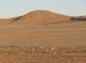 Namibia_110.JPG