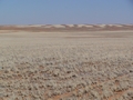 Namibia_113.JPG