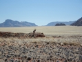 Namibia_114b.jpg