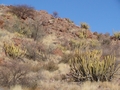 Namibia_127.JPG