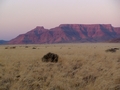 Namibia_135.JPG