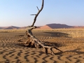 Namibia_136.jpg