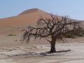 Namibia_157.JPG