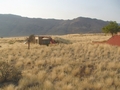 Namibia_169.JPG