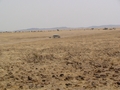 Namibia_184.JPG