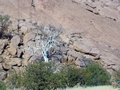 Namibia_267.JPG