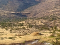 Namibia_295.JPG