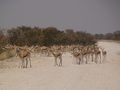 Namibia_315.JPG