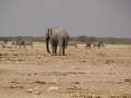 Namibia_320.JPG