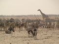 Namibia_325.JPG