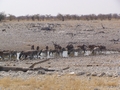 Namibia_329.JPG