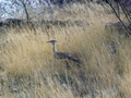 Namibia_366.JPG