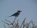 Namibia_367.JPG